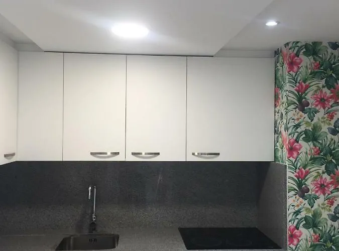 The Terrace Of Puerto Banus アパート *