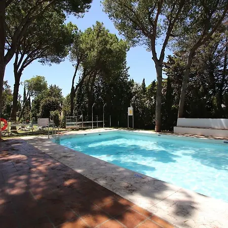 The Terrace Of Puerto Banus *